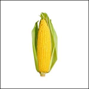 American Corn