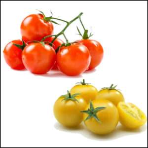 Cherry Tomato (Red & Yellow)