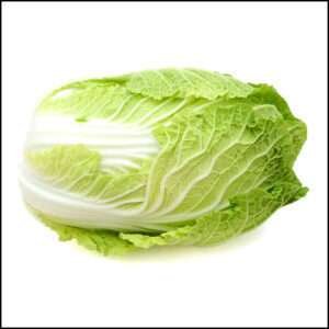 Chinese Cabbage