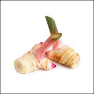 Galangal