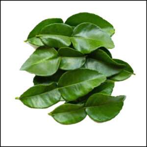 Kafir Lime Leaves