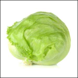 Lettuce Ice Berg