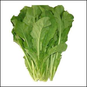 Lettuce Roquette