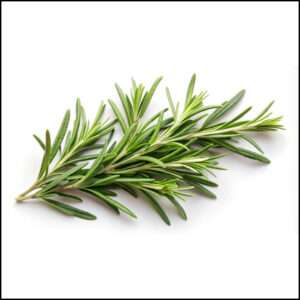 Rosemary