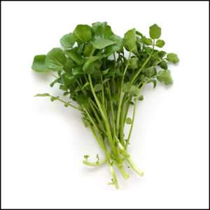 Watercress